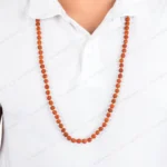 5 mukhi japa rudraksha mala