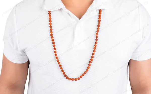 5 mukhi japa rudraksha mala